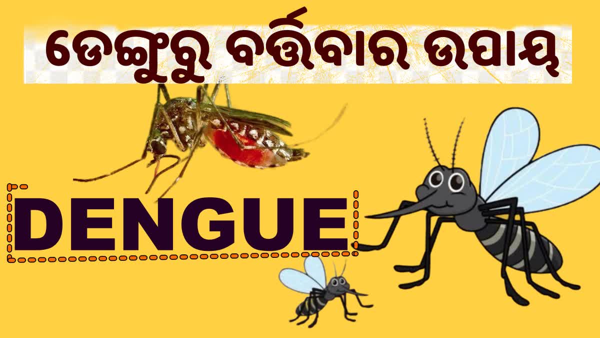 Dengue Prevention Tips