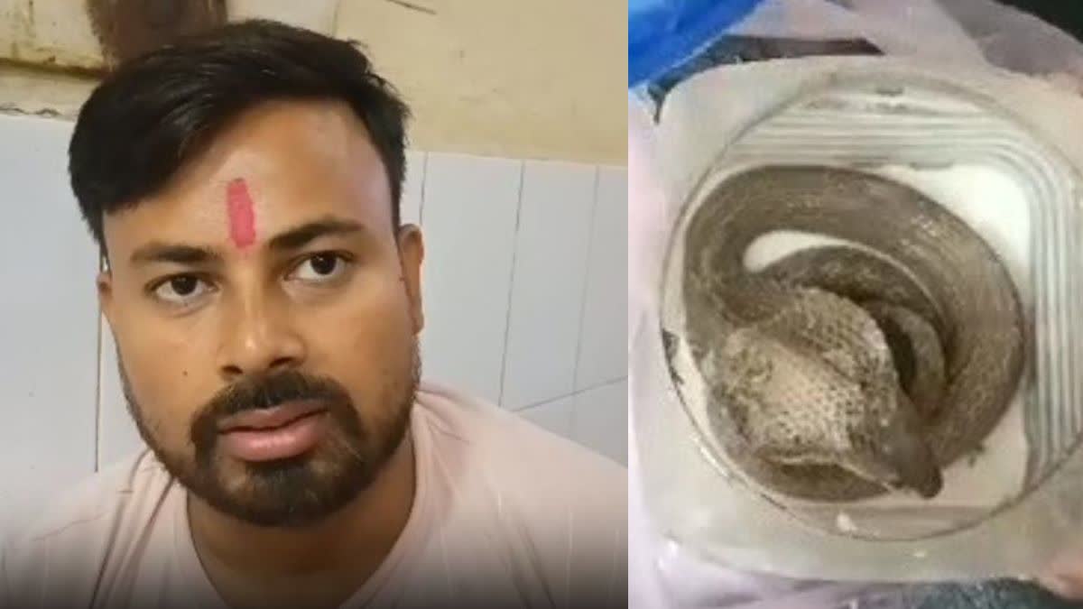 young man bitten by cobra snake