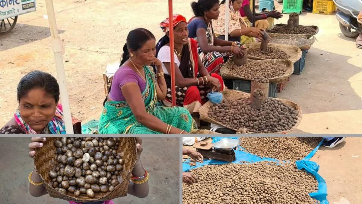 Bastar Boda Bhaji