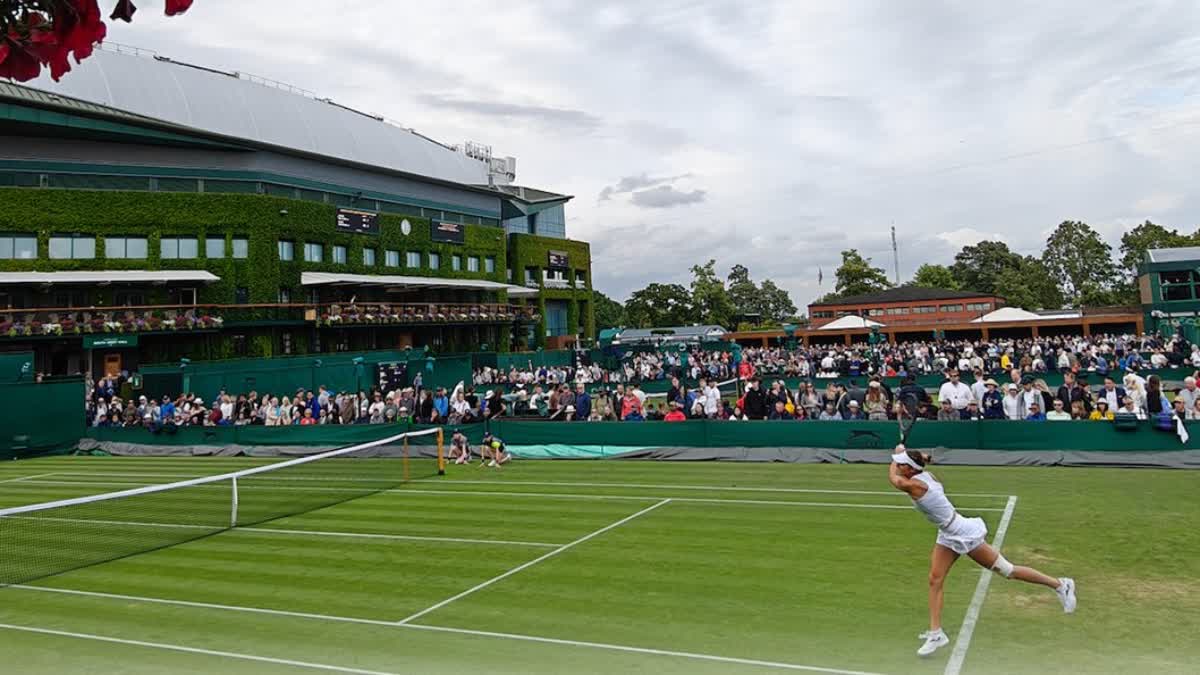 Wimbledon  Wimbledon 2023  Wimbledon Warns Fans To Not Use Quiet Room For Sex  വിംബിള്‍ഡണ്‍  വിംബിള്‍ഡണ്‍ 2023  എലെന റിബാക്കിന  Elena Rybakina  നൊവാക് ജോക്കോവിച്ച്  Novak Djokovic