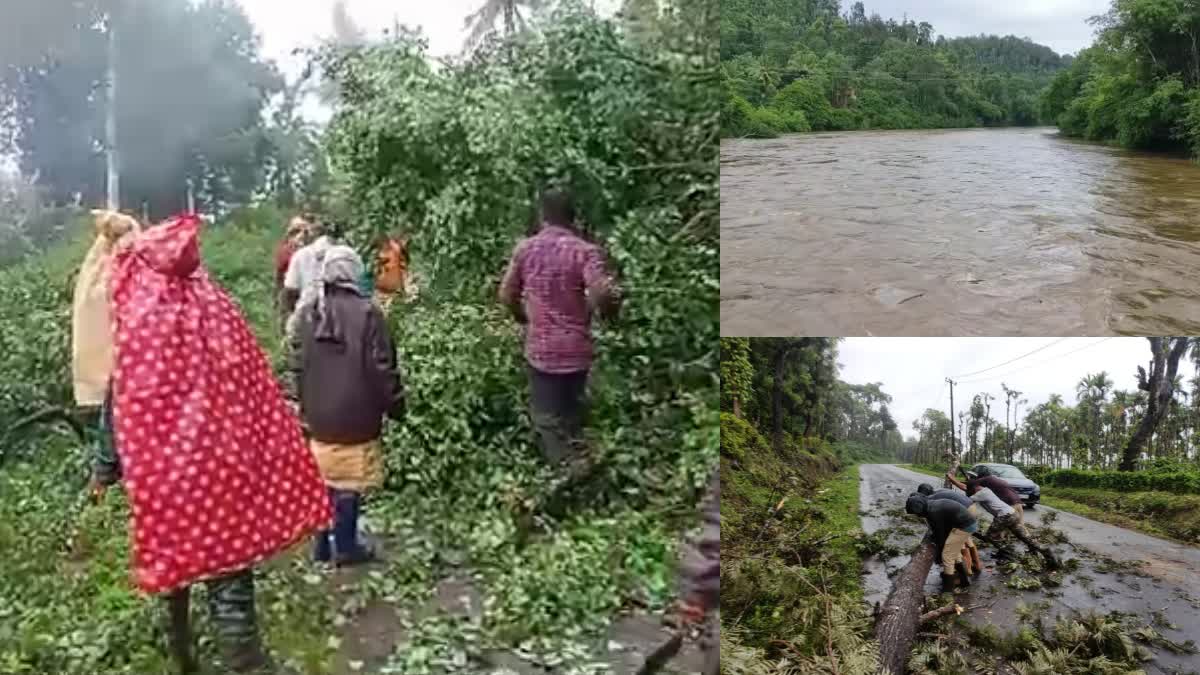 heavy-rain-in-chikkamagaluru-district