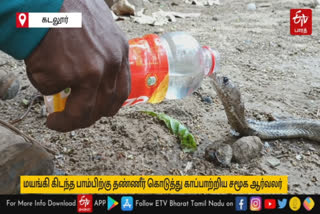 social activist saved an unconscious snake by giving it water in Cuddalore