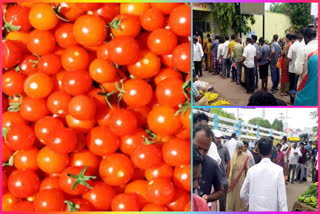 Tomato record prices