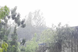 Surat News : સુરતમાં ચાર દિવસના વિરામ બાદ કડાકાભડાકા સાથે ધોધમાર વરસાદ, જાણો હવામાન વિભાગની આગાહી