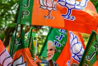 The BJP central leadership will hold a meeting with party presidents and in-charges of the NE states, West Bengal and Jharkhand in Guwahati to prepare a roadmap for the 2024 Lok Sabha election, its Tripura unit president Rajib Bhattacharjee said on Wednesday.