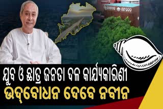 ଯୁବ ଓ ଛାତ୍ର ବିଜେଡିର କାର୍ଯ୍ୟକାରିଣୀ