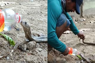 man gives water to snake