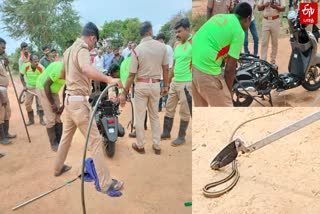 வட்டார போக்குவரத்து அலுவலகத்தில் புதிய வாகனத்தில் போக்கு காட்டிய பாம்பு