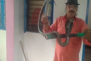 Cobra enters house in Sagar