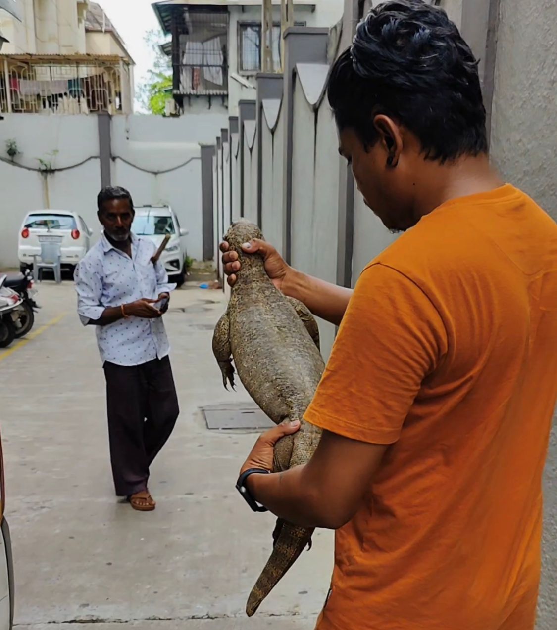 Surat monitor lizard: એપાર્ટમેન્ટમાં 3.5 ફુટની મોનિટર લિઝાર્ડને જોઈ લોકોનો જીવ અધ્ધર