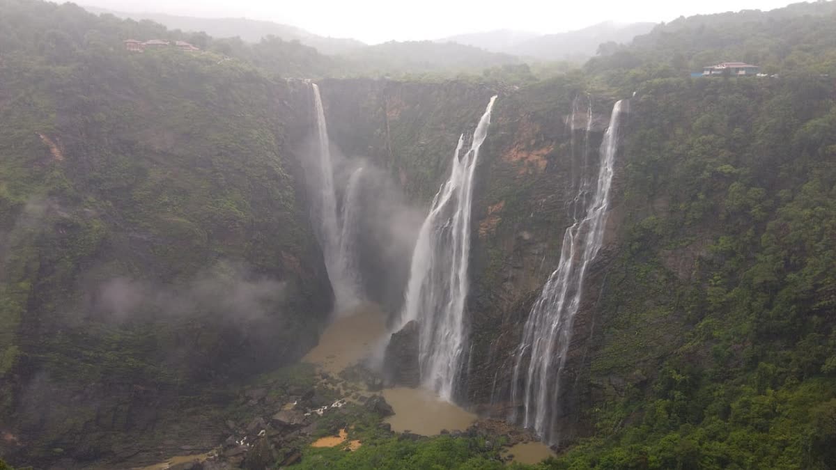 ಧುಮ್ಮಿಕ್ಕಿ ಹರಿಯುತ್ತಿರುವ ಜೋಗ ಜಲಪಾತ