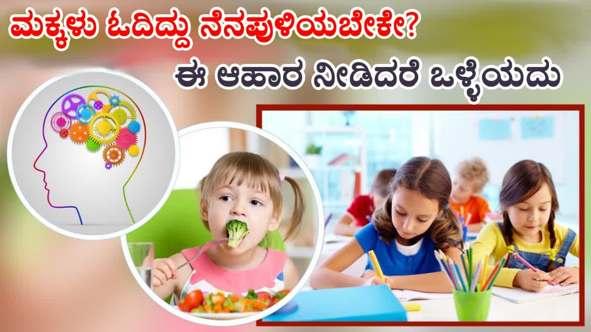 Food For Kids Memory  super memory power  Best Food For Kids Memory