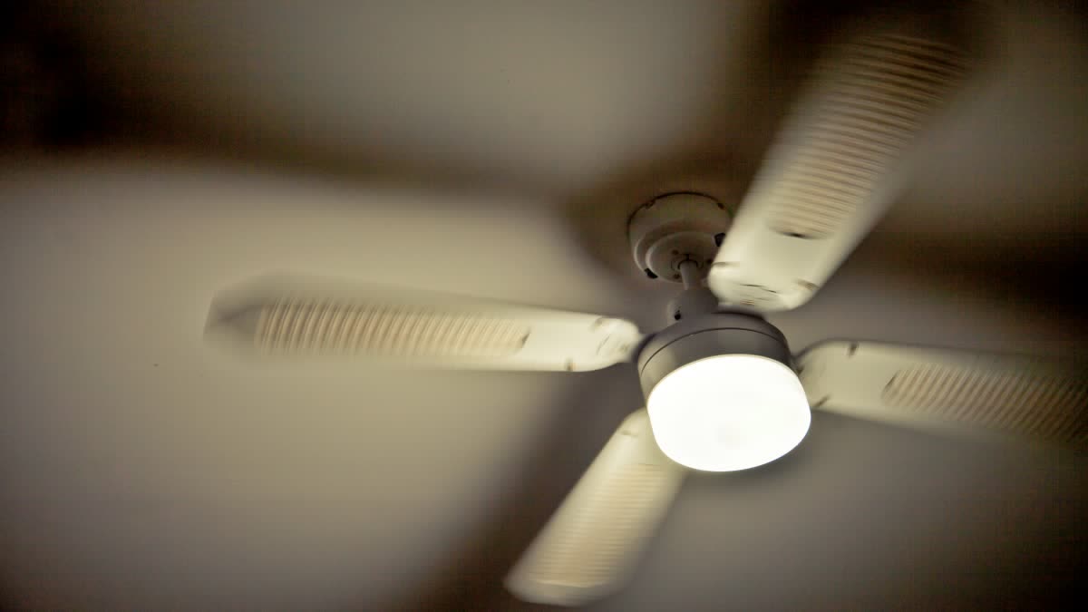 ceiling fan