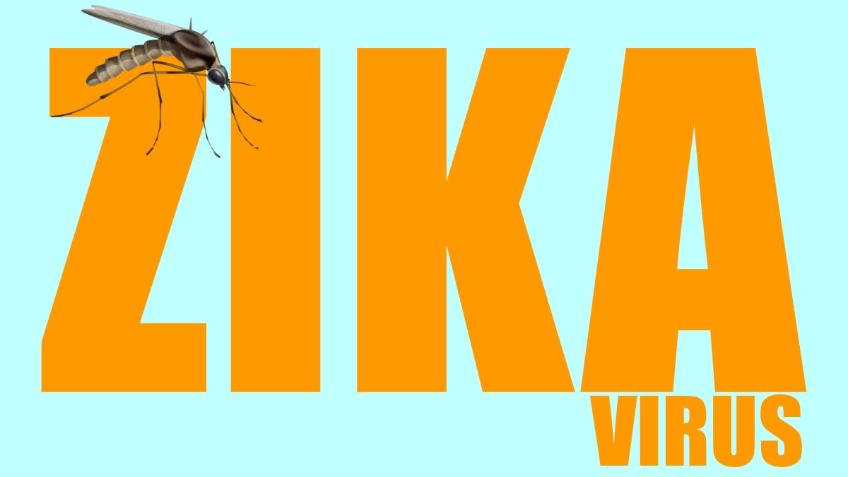 Zika Virus