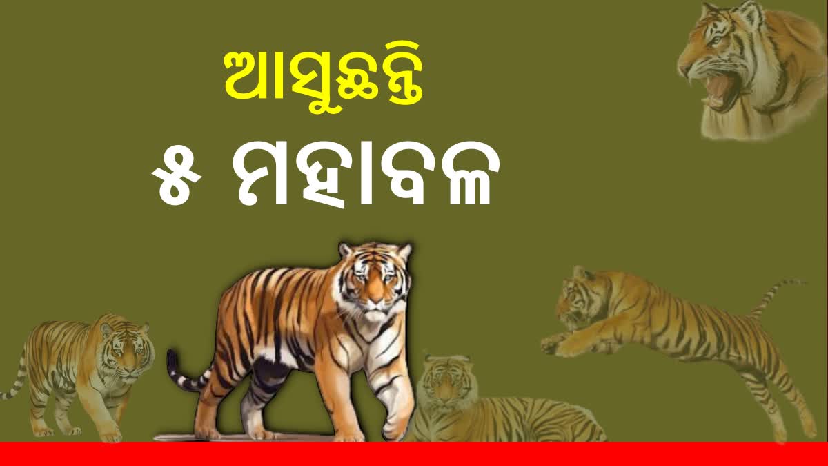 ଓଡ଼ିଶା ଆସିବେ ୫ ମହାବଳ, ଅନ୍ୟ ଜୀବଜନ୍ତୁ ହେବେ ଅଦଳବଦଳ - Odisha To Welcome ...