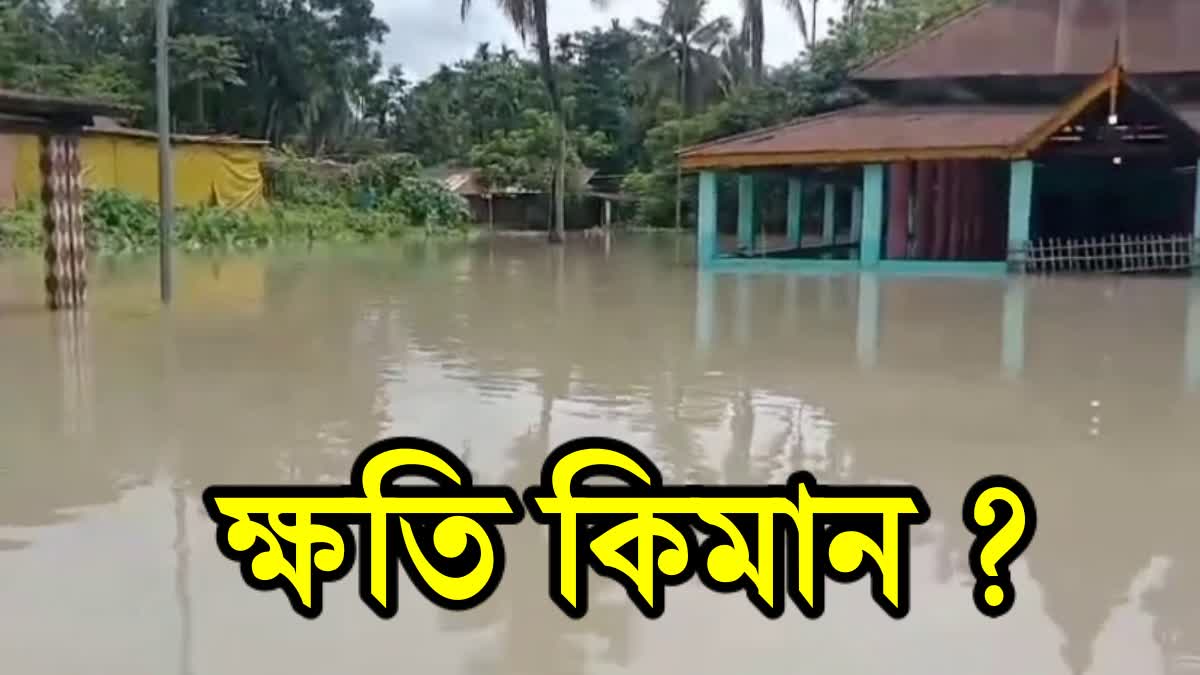 Assam flood crisis