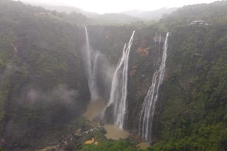 ಧುಮ್ಮಿಕ್ಕಿ ಹರಿಯುತ್ತಿರುವ ಜೋಗ ಜಲಪಾತ