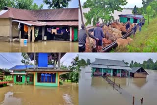 Different places of 29 districts are still reeling under floods in assam