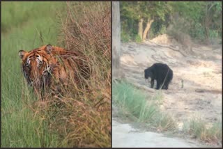 Photo Zone of the world famous Jim Corbett National Park