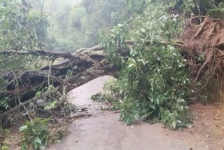 RAIN IN CHIKKAMAGALURU