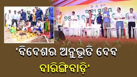 Odisha becomes number 1 in tree plantation