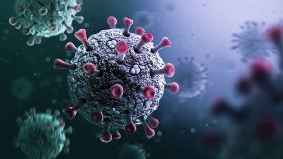 ETV Bharat News - Other - News Image