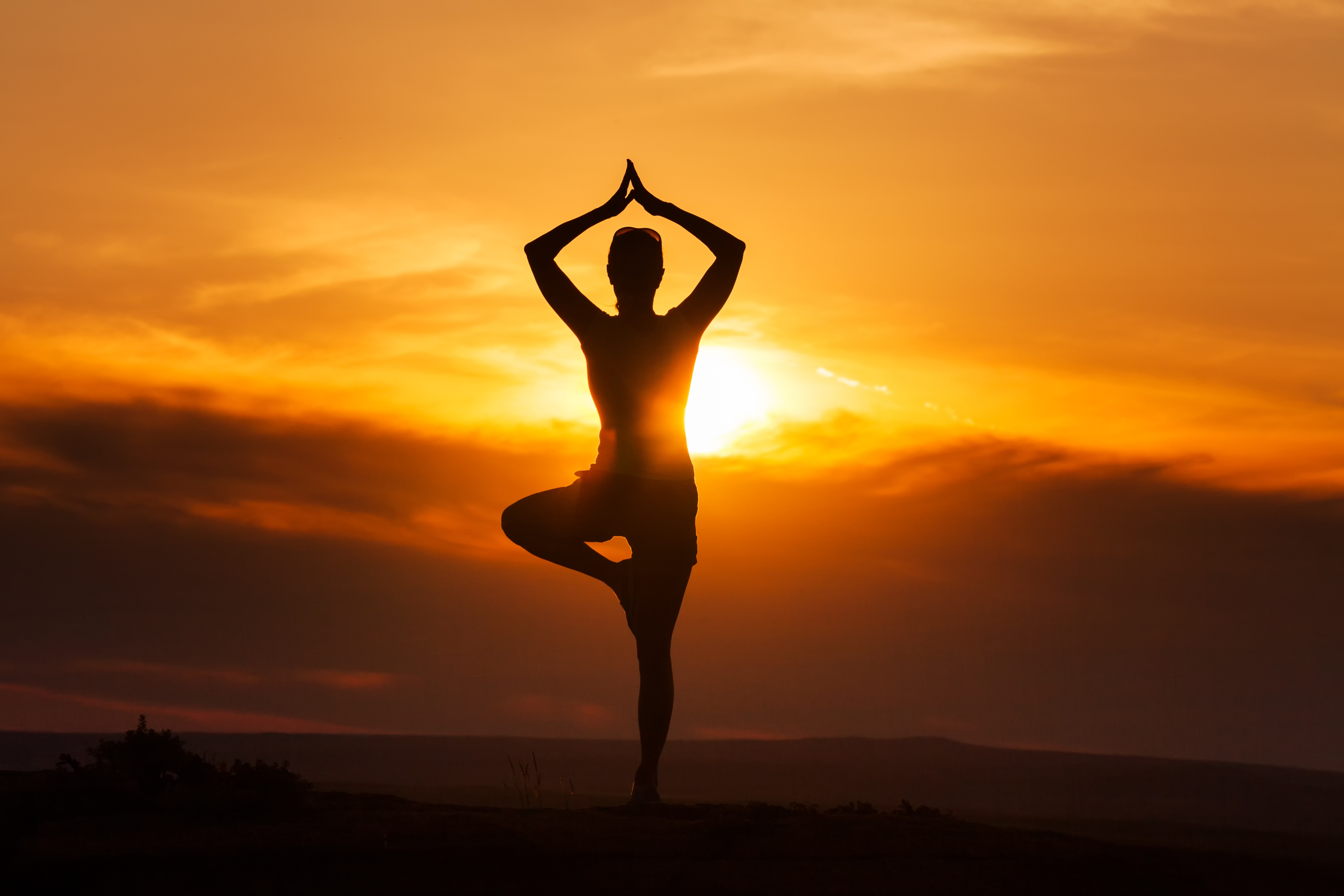 Doing yoga keeps the heart healthy, which yogasana is done to avoid heart diseases