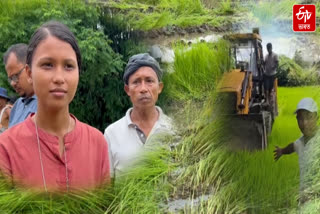 Assam Govt Eviction drive in Lakhimpur, local people dissatisfied with eviction in paddy field