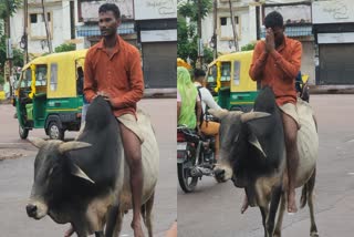CHHATARPUR YOUTH RIDES BULL