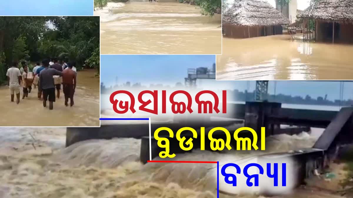 Baitarani River Swells Amid Heavy Rain