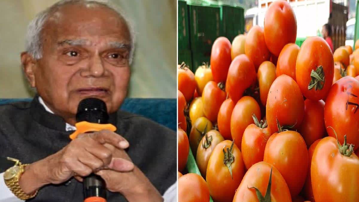 Tomato Price Hike  tomato removed from raj bhavan menu  tomato  tomato price  Tomatoes  തക്കാളി  punjab raj bhavan removed tomato from menu  തക്കാളി വില വർധനവ്  തക്കാളി വില  തക്കാളി മെനുവിൽ നിന്ന് ഒഴിവാക്കി  തക്കാളി ഒഴിവാക്കി പഞ്ചാബ് രാജ്‌ഭവൻ  പഞ്ചാബ് രാജ്‌ഭവൻ  പഞ്ചാബ് ഗവർണർ ബൻവാരിലാൽ പുരോഹിത്  പഞ്ചാബ് ഗവർണർ  തക്കാളി വിലയിൽ പഞ്ചാബ് ഗവർണർ നടപടി  തക്കാളി വില വാർത്തകൾ