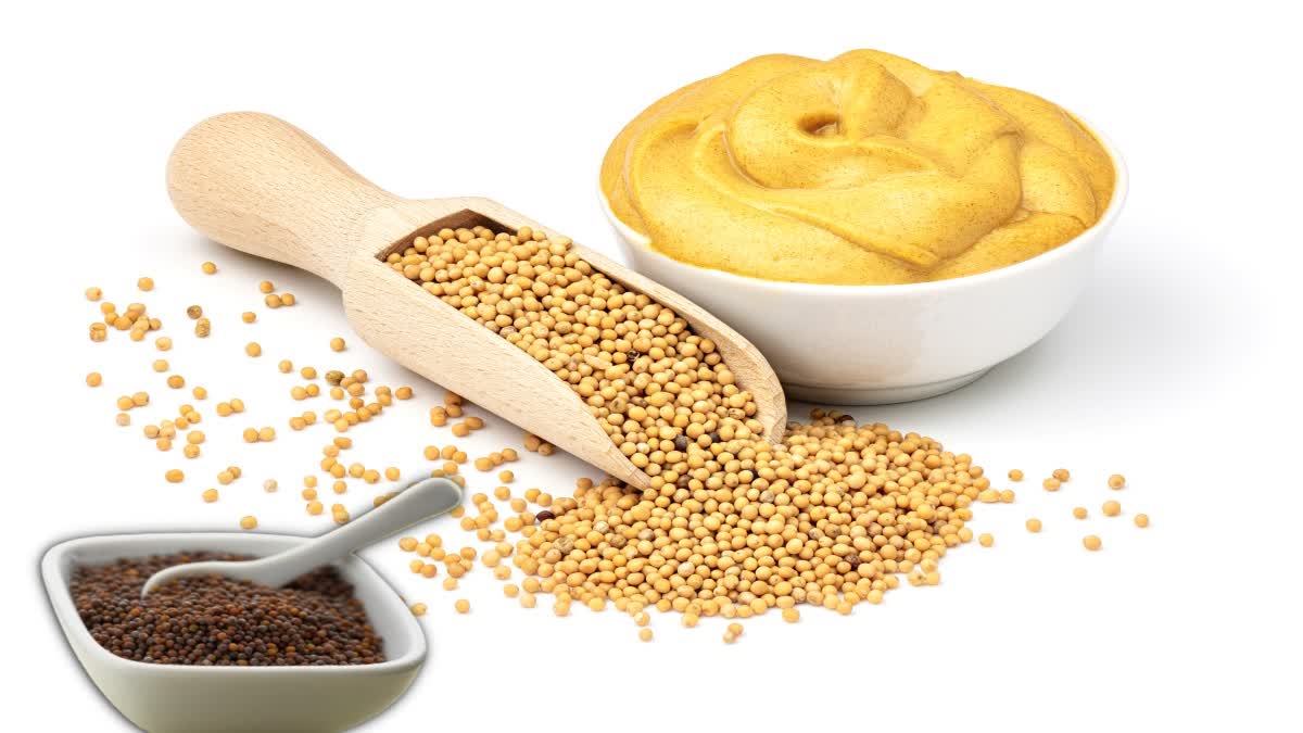 Mustard Seed for Health News
