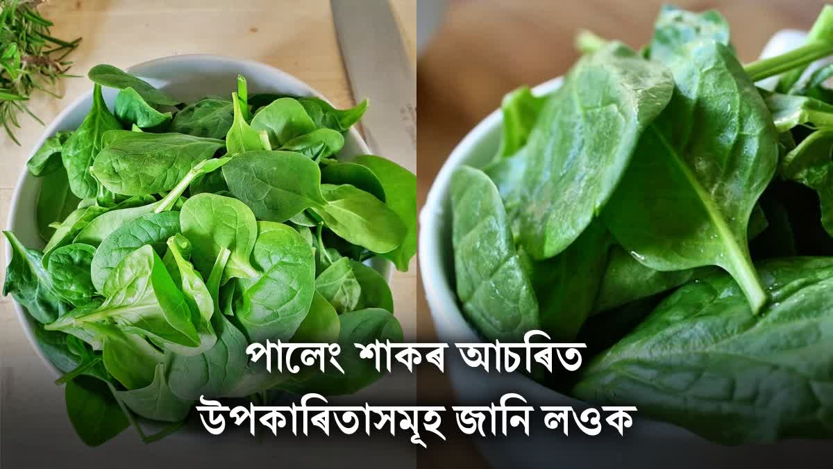 amazing health benefits of spinach you should add to your daily food