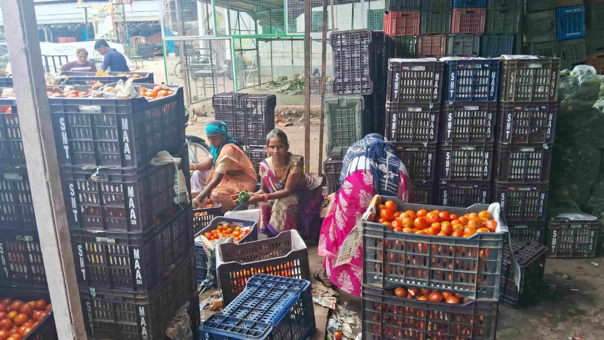 Tomato Price in Kota