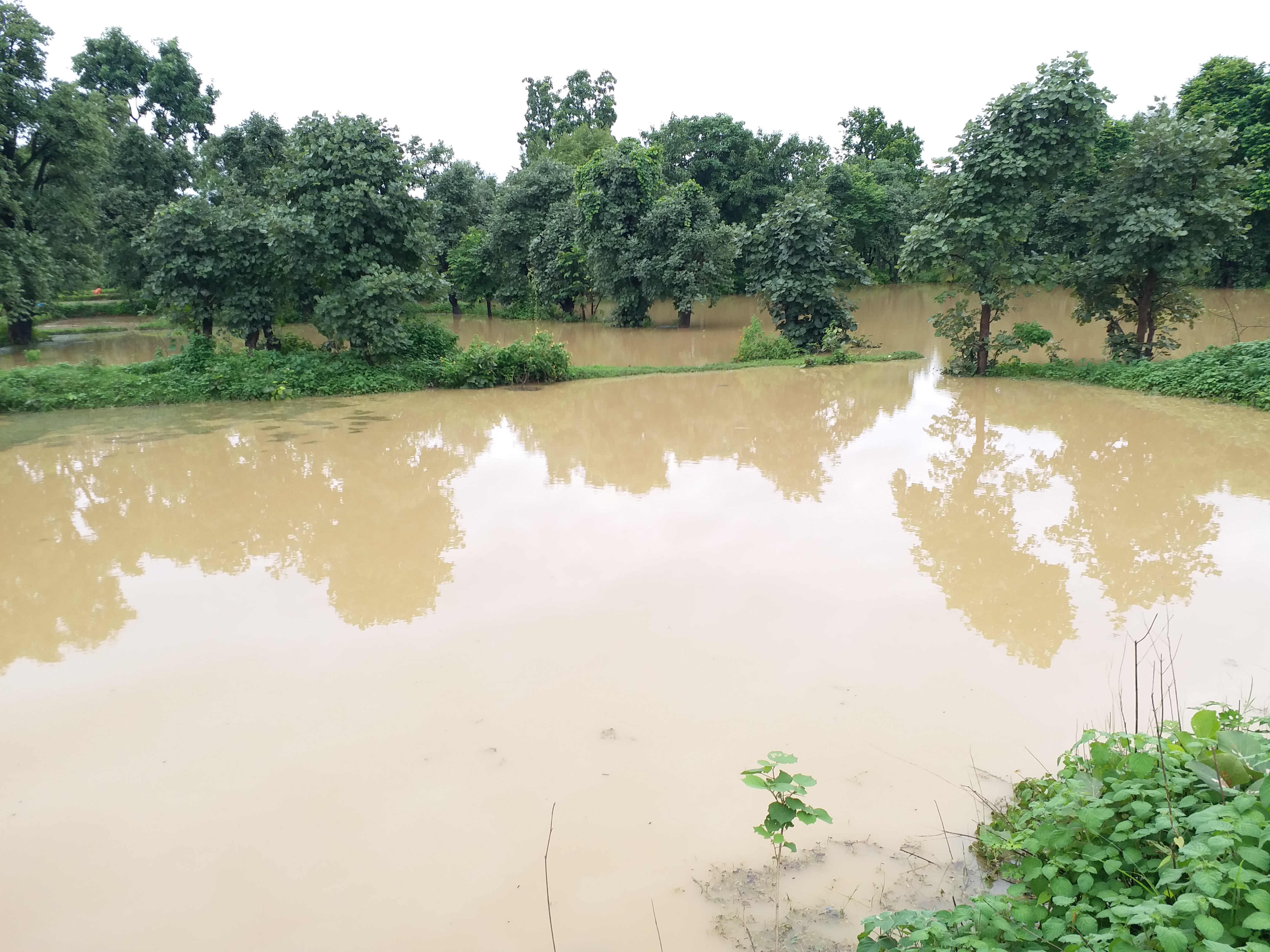 rain water in shahdol