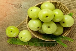 amla benefits for skin and hair