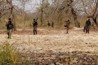 Chhattisgarh: Disgruntled Naxal couple surrenders in Sukma