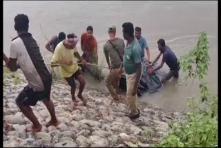 Elephant head recovered from Sankosh River