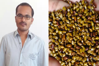 Madhya Pradesh man strikes gold by exporting seeds of wild monsoon plant to China, Vietnam