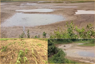 Pond cut off by rains in Warangal