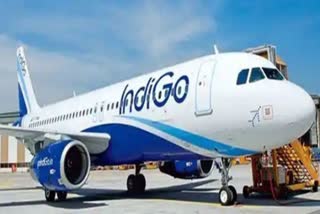 Indigo flight