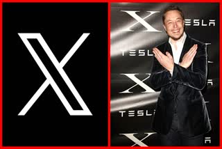Elon Musk x corp