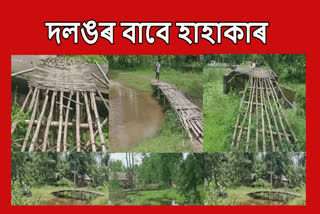 Bamboo bridge in Assam