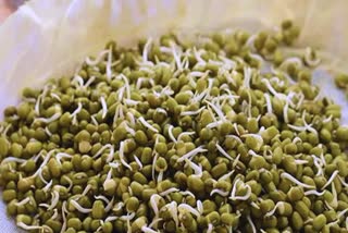 Etv BharatSprouted Moong For Health
