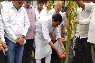 Raosaheb Danve  inaugurating the Road One Tree scheme