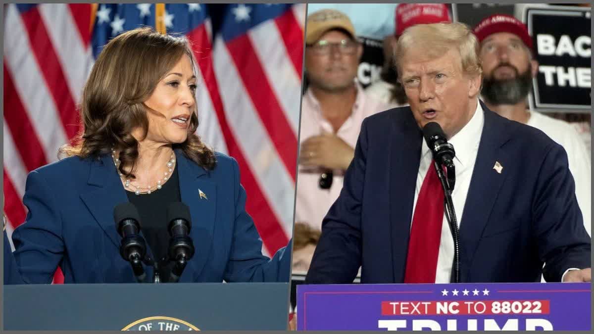 Kamala Harris VS Donald Trump