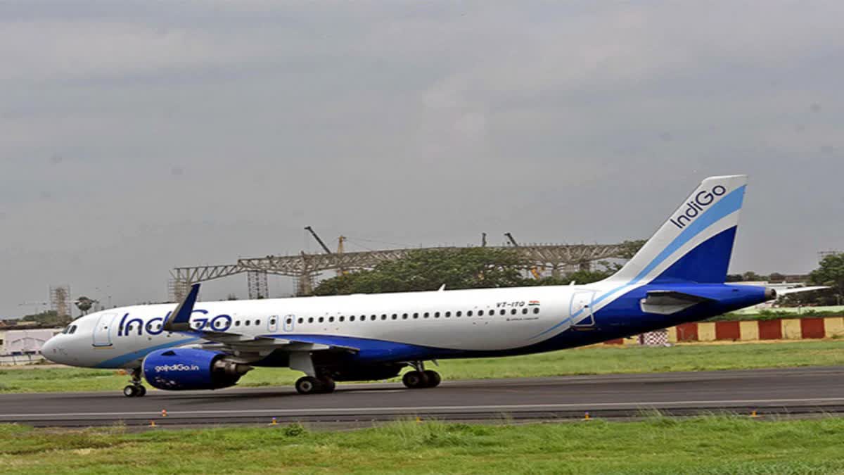 IndiGo New Flights