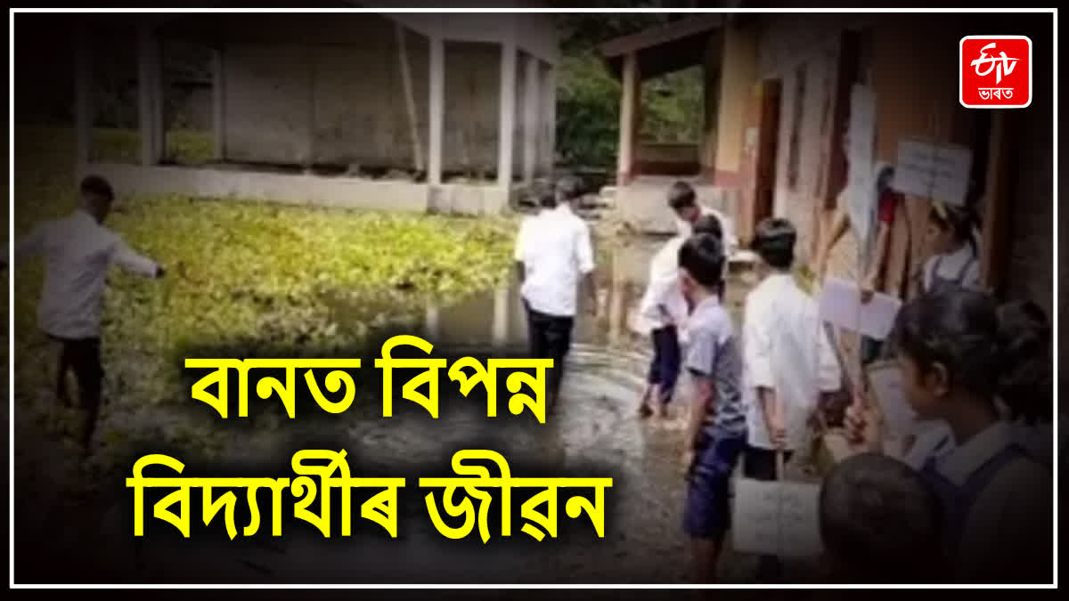 Nalbari F Ali School Students Protest