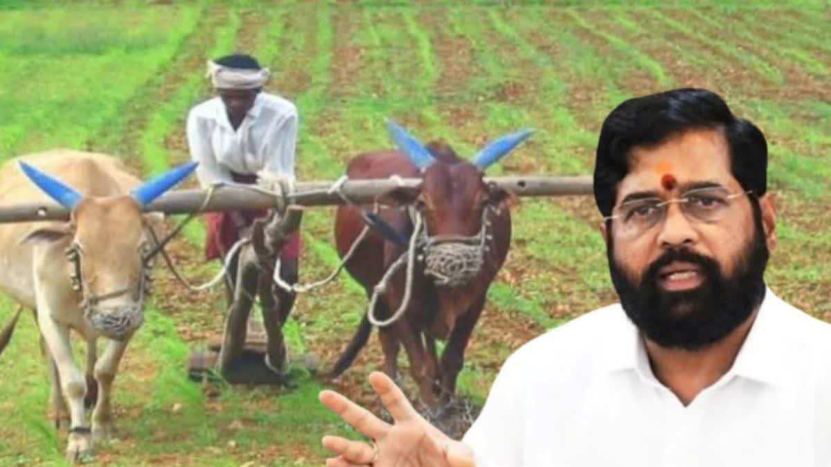 State Government relief to Farmers 596 crore aid announced for crop damage