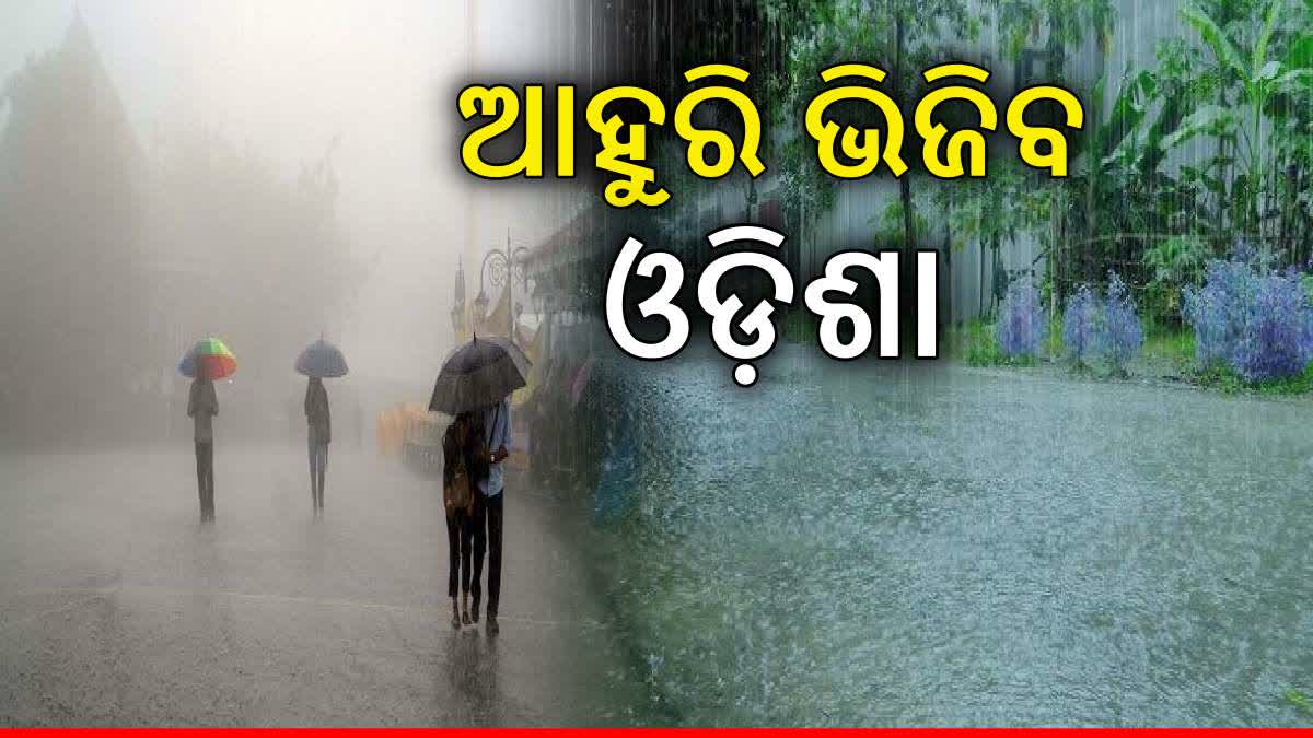 Odisha Rain Update